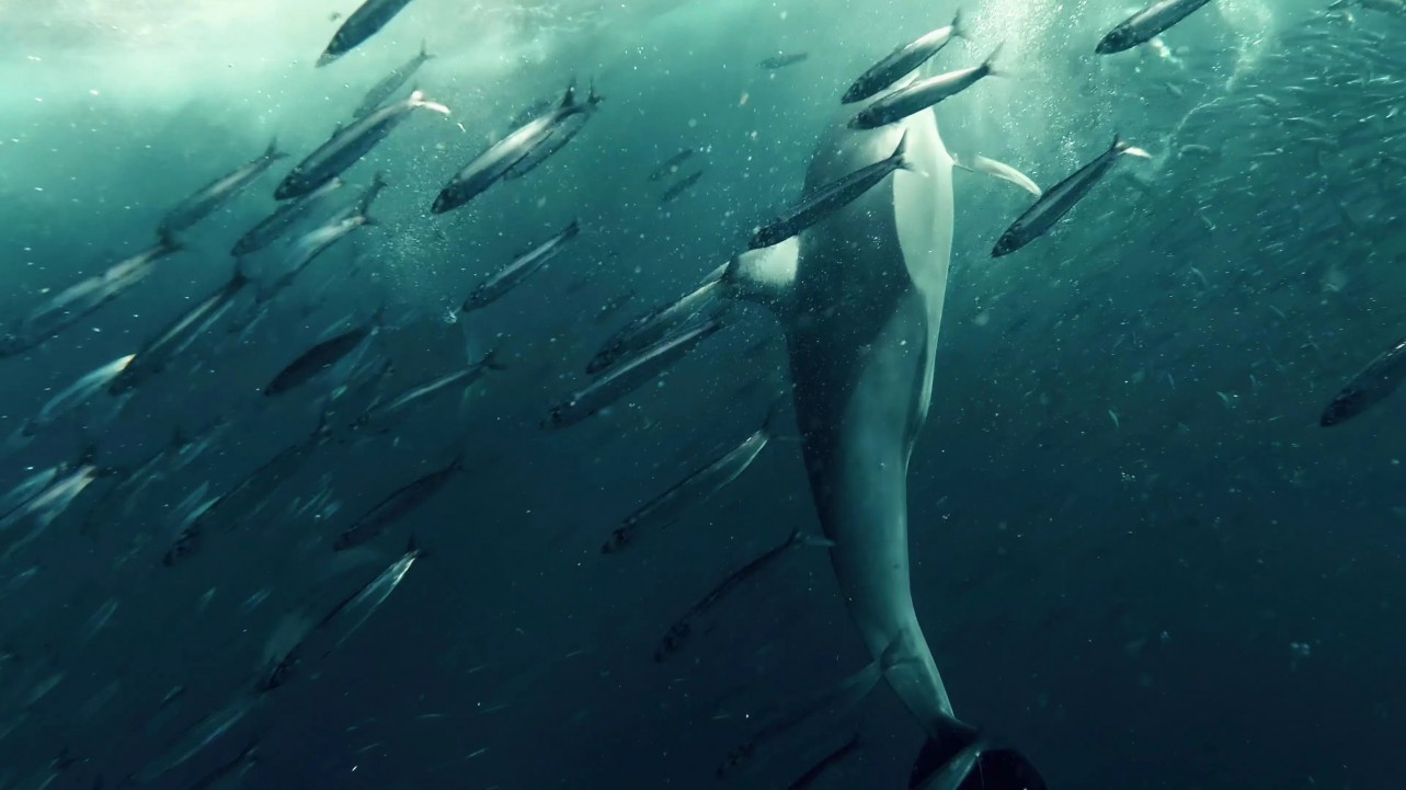 Inside the Enchanted Waterways