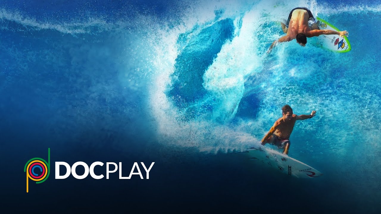 Through The Doggy Door