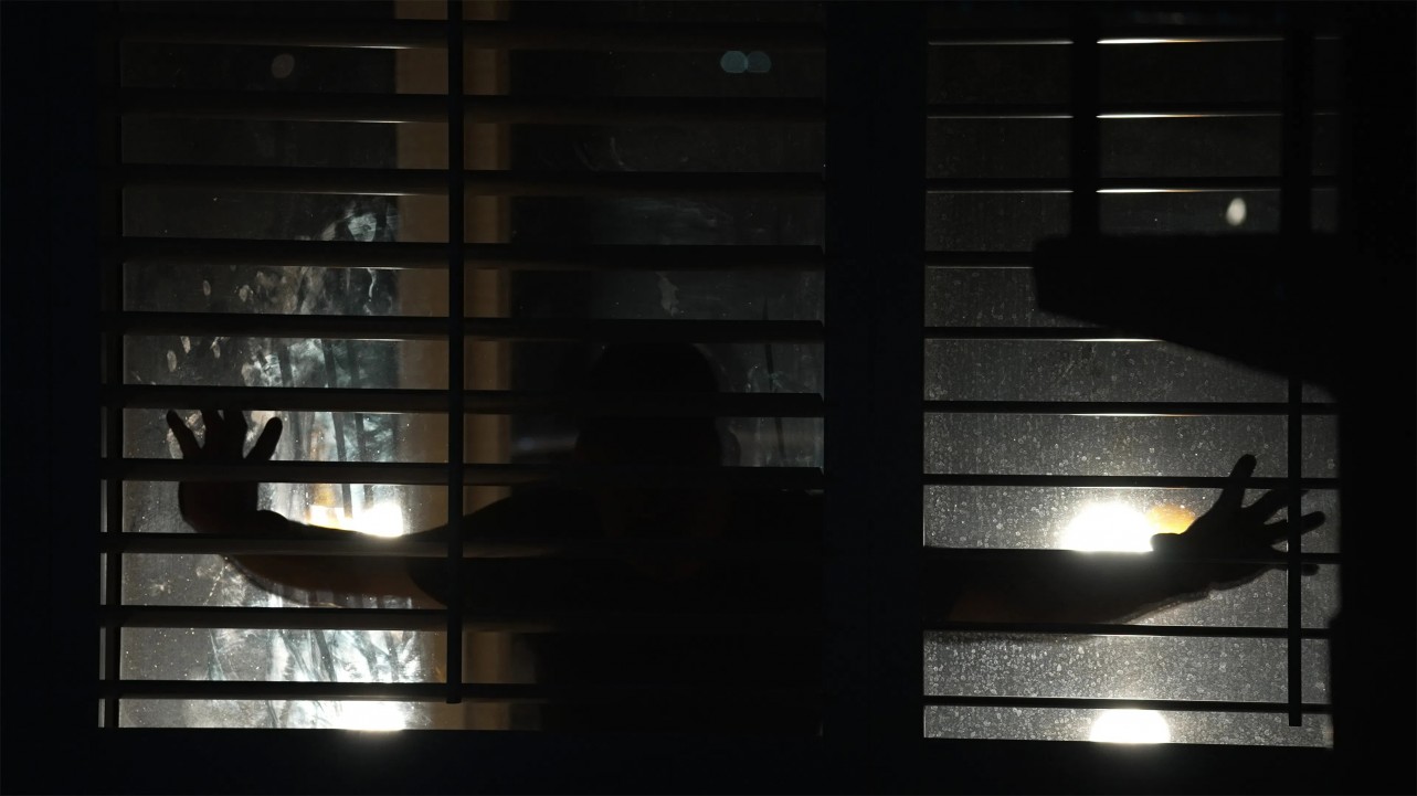 Spread: Pigs to Slaughter