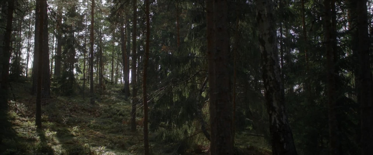 The Huntress: Rune of the Dead