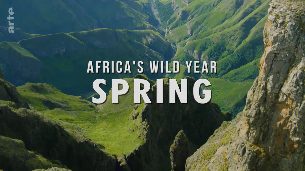 Africa's Wild Year