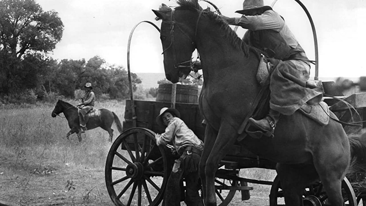 The Culpepper Cattle Co.