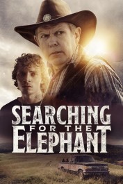 Searching for the Elephant