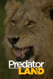 Predator Land Predator Land