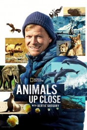 Animals Up Close with Bertie Gregory