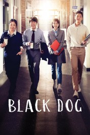 Black Dog Black Dog