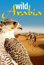 Wild Arabia Wild Arabia
