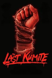 The Last Kumite The Last Kumite