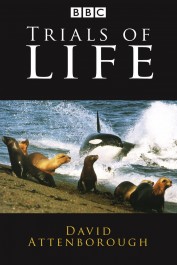 The Trials of Life The Trials of Life