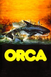 Orca: The Killer Whale