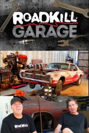 Watch free Roadkill Garage HD online