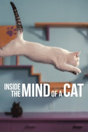 Watch Free Inside the Mind of a Cat Full Movies Bflix