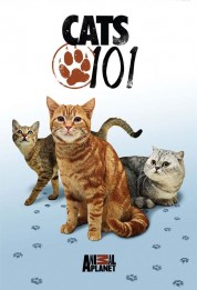 Cats 101 2008