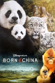 Watch free Born in China HD online