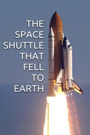 Watch Free The Space Shuttle That Fell to Earth Full Movies Bflix