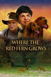 Watch Free Where the Red Fern Grows Full Movies Bflix