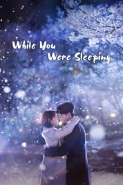 Watch Free While You Were Sleeping Full Movies Bflix