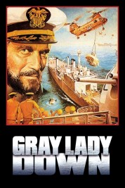 Watch Free Gray Lady Down Full Movies Bflix