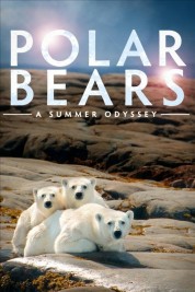 Watch Free Polar Bears: A Summer Odyssey Full Movies Bflix