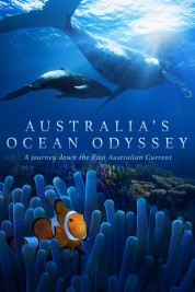 Watch Free Australia's Ocean Odyssey: A journey down the East Australian Current Full Movies Bflix