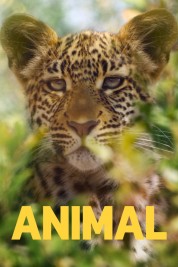 Watch Free Animal Full Movies Bflix