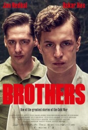 Watch Free Brothers Full Movies Bflix