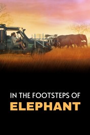 Watch Free In the Footsteps of Elephant Full Movies Bflix