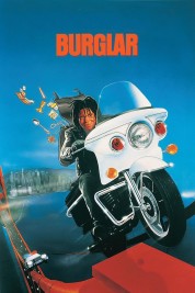 watch free Burglar hd online