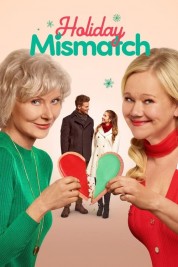 Watch Free Holiday Mismatch Full Movies Bflix