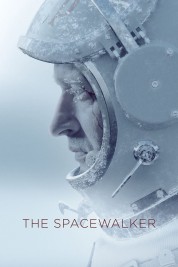 The Spacewalker 2017