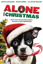 Watch Free Alone for Christmas Full Movies Bflix