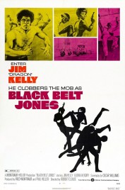 Watch Free Black Belt Jones Full Movies Bflix