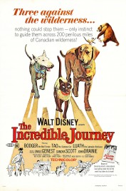 Watch Free The Incredible Journey Full Movies Bflix