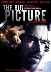 Watch Free The Big Picture Full Movies Bflix