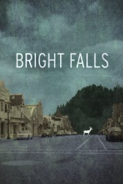 Bright Falls 2010