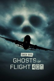 Watch Free Ghosts of Flight 401 Full Movies Bflix