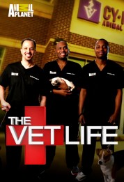 Watch Free The Vet Life Full Movies Bflix