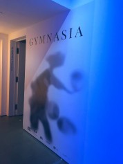 Gymnasia 2019