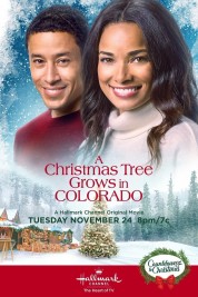 Watch Free A Christmas Tree Grows in Colorado Full Movies Bflix