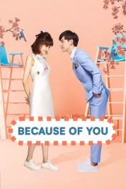 Watch free Because of You HD online