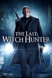 The Last Witch Hunter 2015