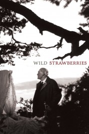 Watch Free Wild Strawberries Full Movies Bflix