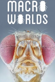 Macro Worlds 2017