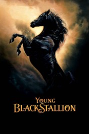 Watch Free Young Black Stallion Full Movies Bflix