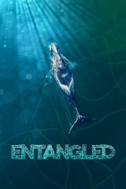 Watch Free Entangled: The Race to Save Right Whales from Extinction Full Movies Bflix