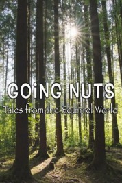 Going Nuts - Tales from the Squirrel World 2019