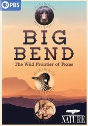 Watch Free Big Bend: The Wild Frontier of Texas Full Movies Bflix