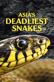 Watch Free Asia's Deadliest Snakes Full Movies Bflix