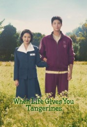 Watch Free When Life Gives You Tangerines Full Movies Bflix