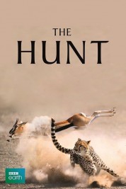 The Hunt 2019